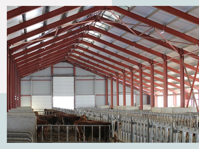 Строительство коровников в Кашире