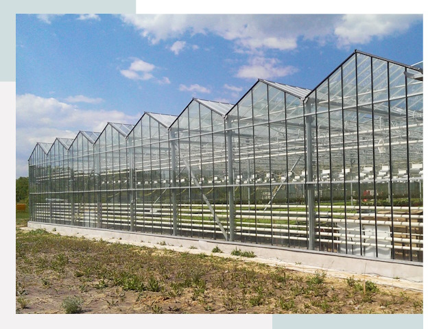 Строительство теплиц в Кашира от 625 руб. за м²