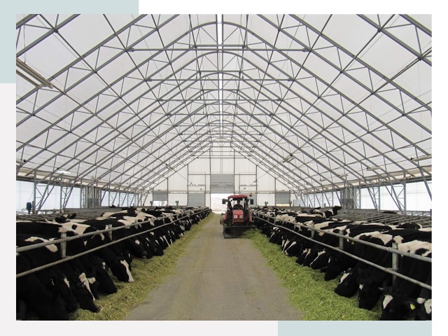 Тентовые коровники в Кашире от 625 руб. - Надежно и доступно